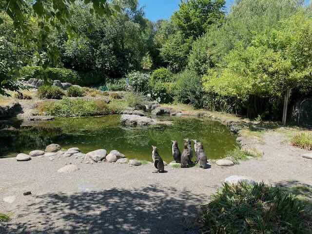 Mit dem Casamea im Zürich-Zoo